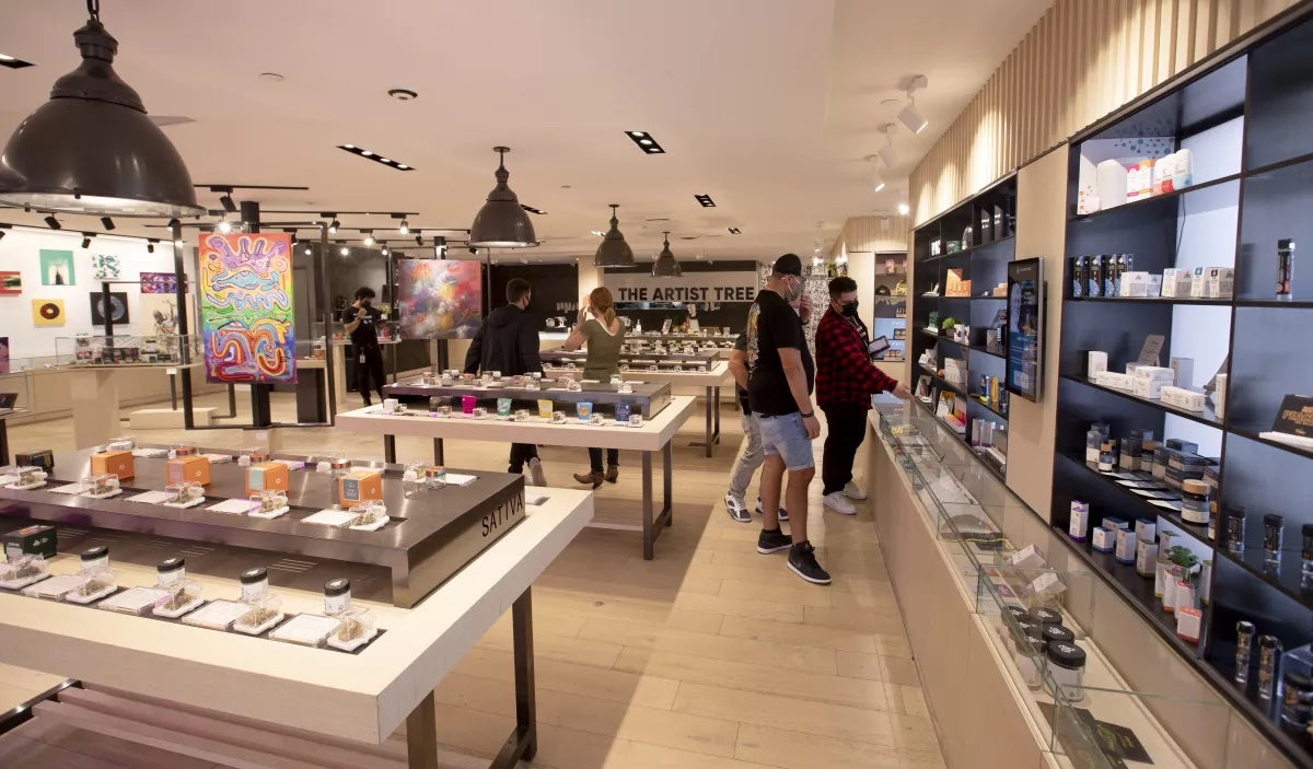 Top 6 Trendiest Cannabis Dispensaries in the USA Pipe Supplier